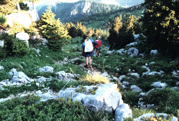 Vercors