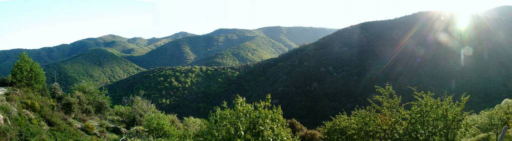 paysage