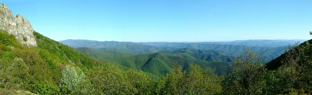 paysage 1