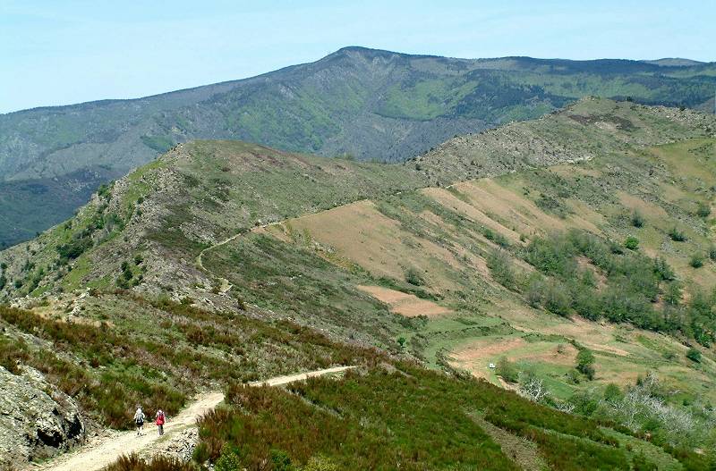 paysage & Aigoual