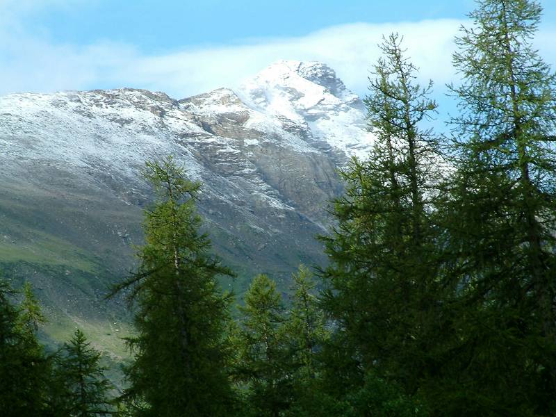 neige