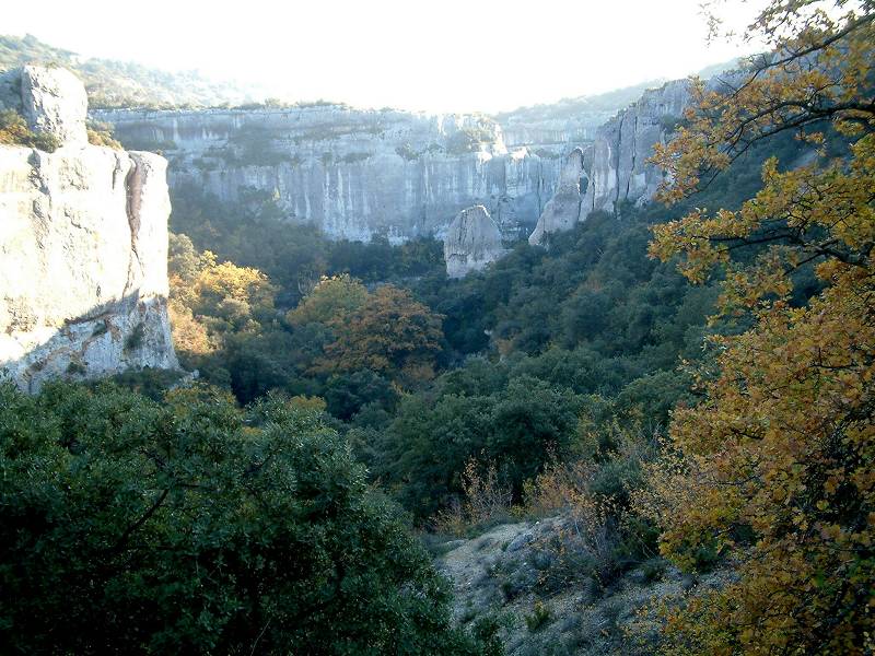 veroncle n1