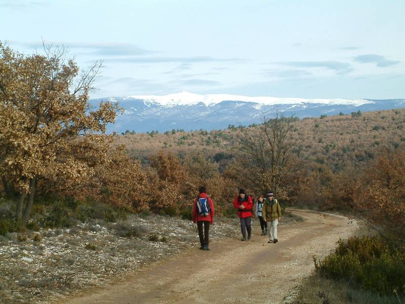 ventoux1