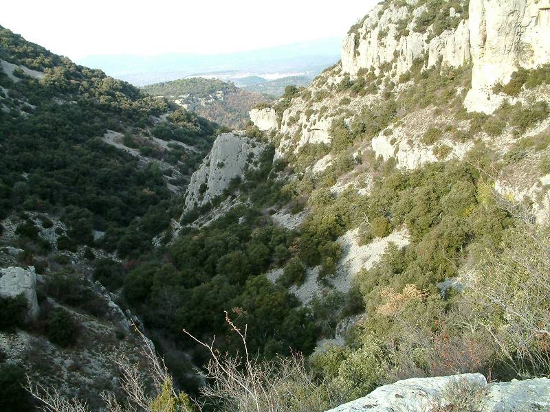 Combe de Cambredon