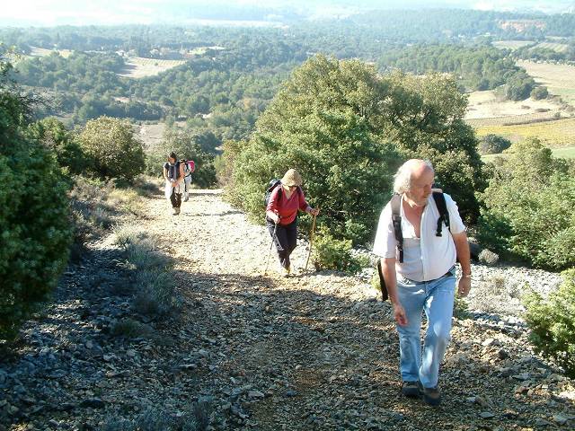 monte