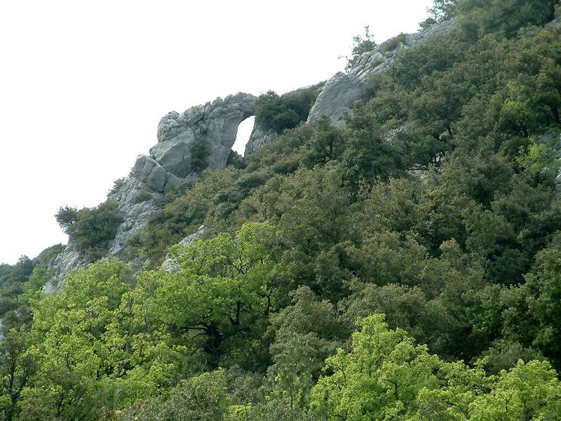arche