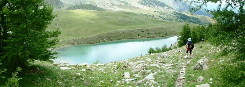 lac 6