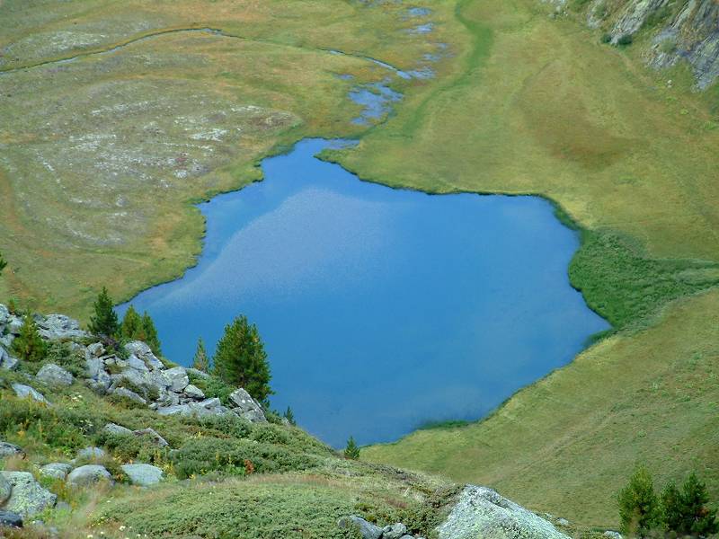 lac