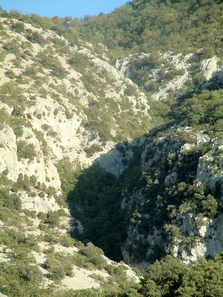combe  viter