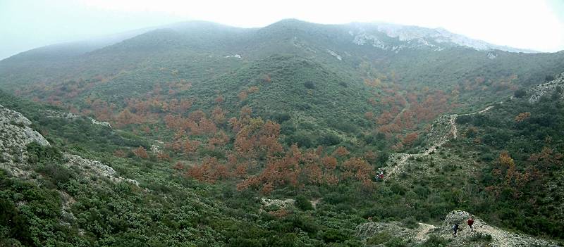 vallons