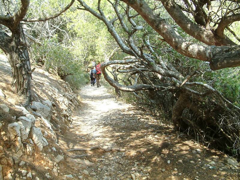 sentier 1