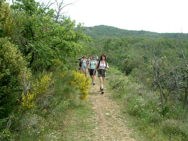 descente