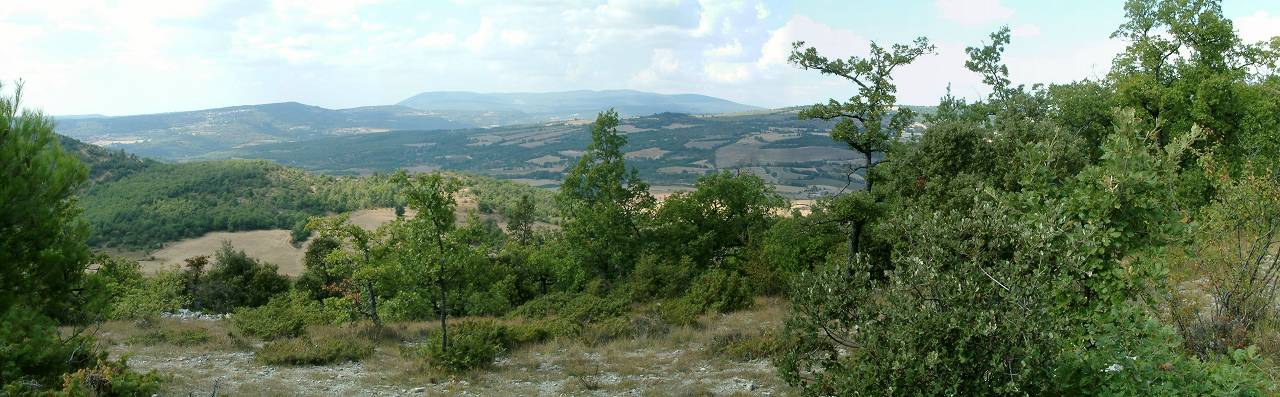 paysage 1