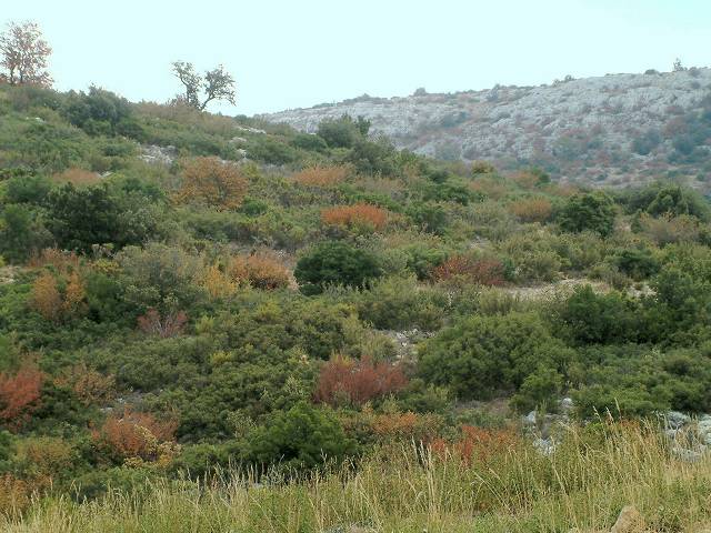 automne