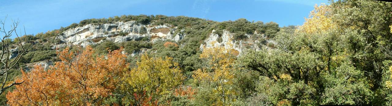 falaise