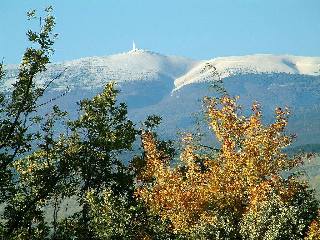 Ventoux