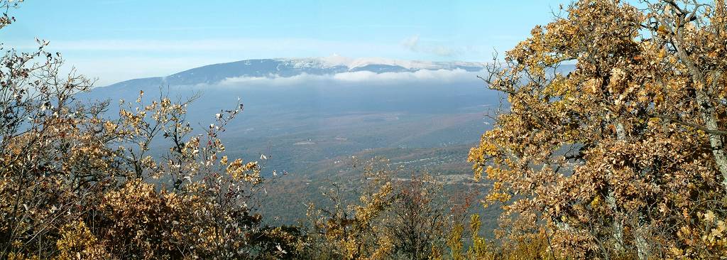 Ventoux