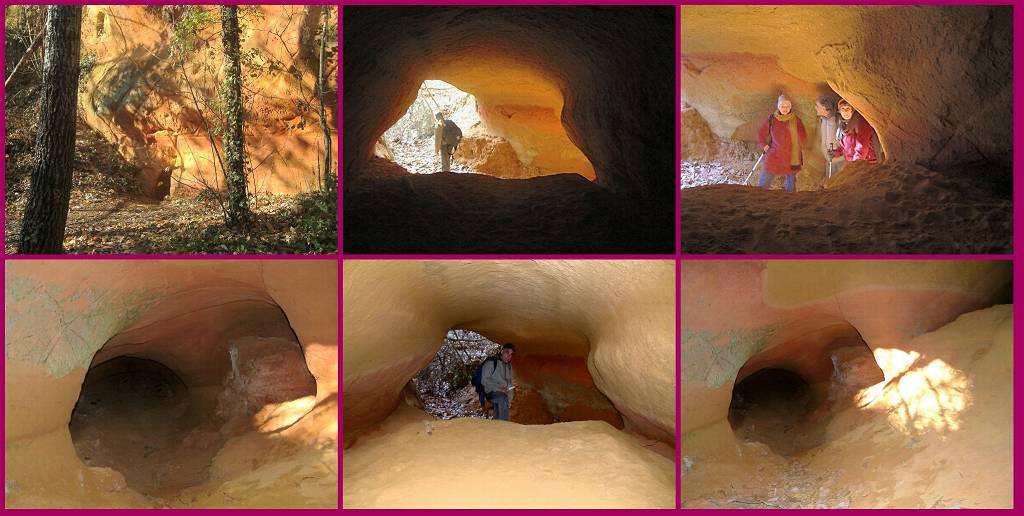 Cavernicoles