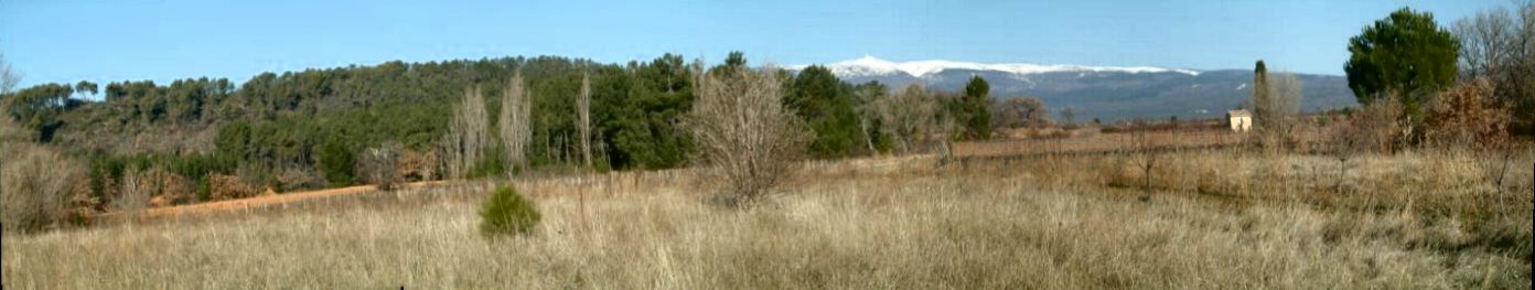 Ventoux