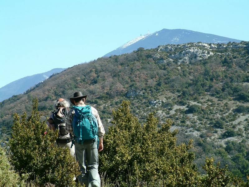 Ventoux