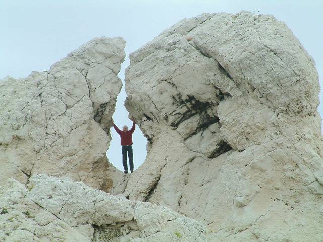 roche perce