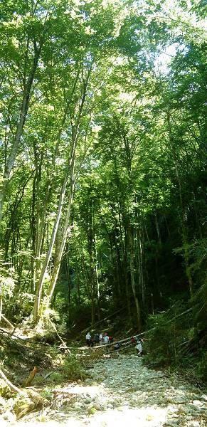 Grande Combe