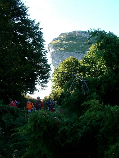 Roche Courbe
