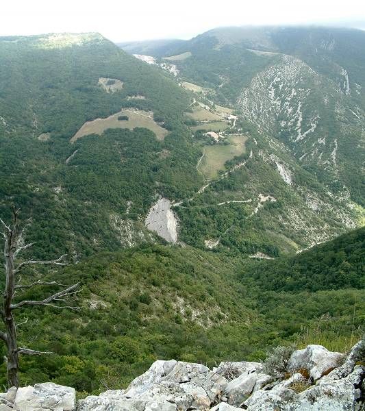 Le Cougoir