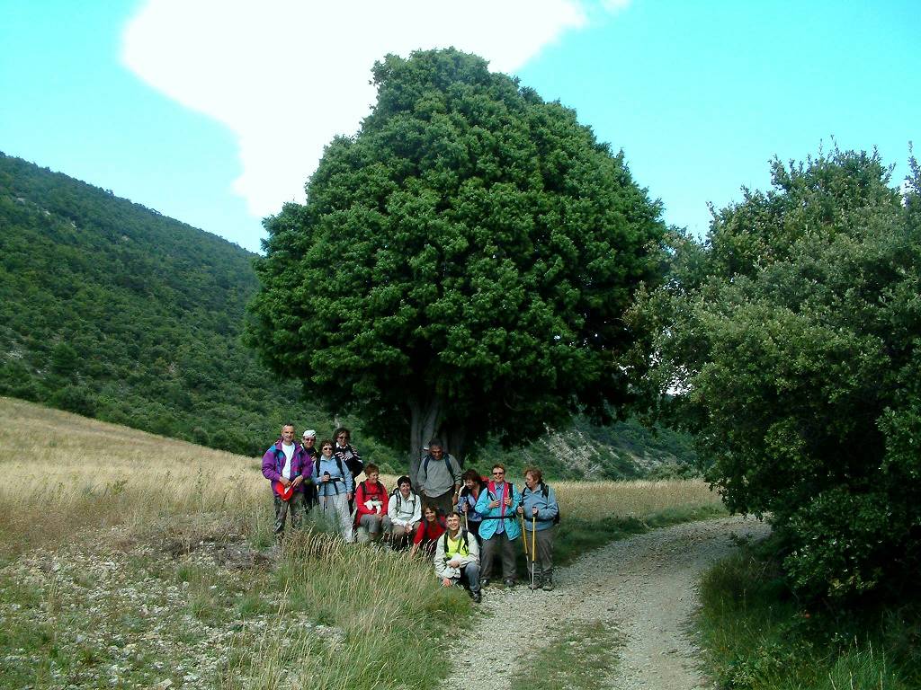 Groupe et Cade