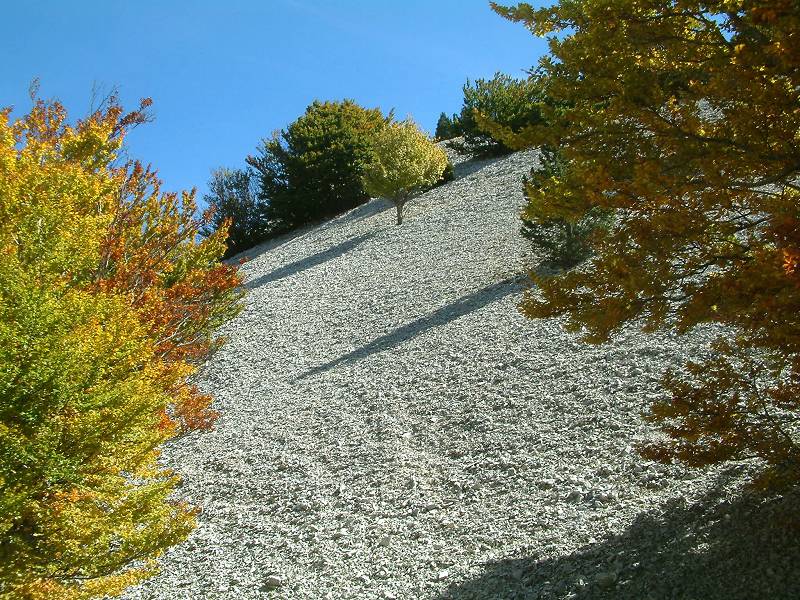 automne