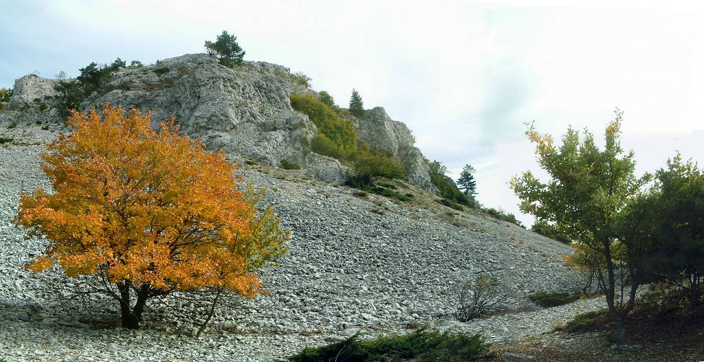 automne