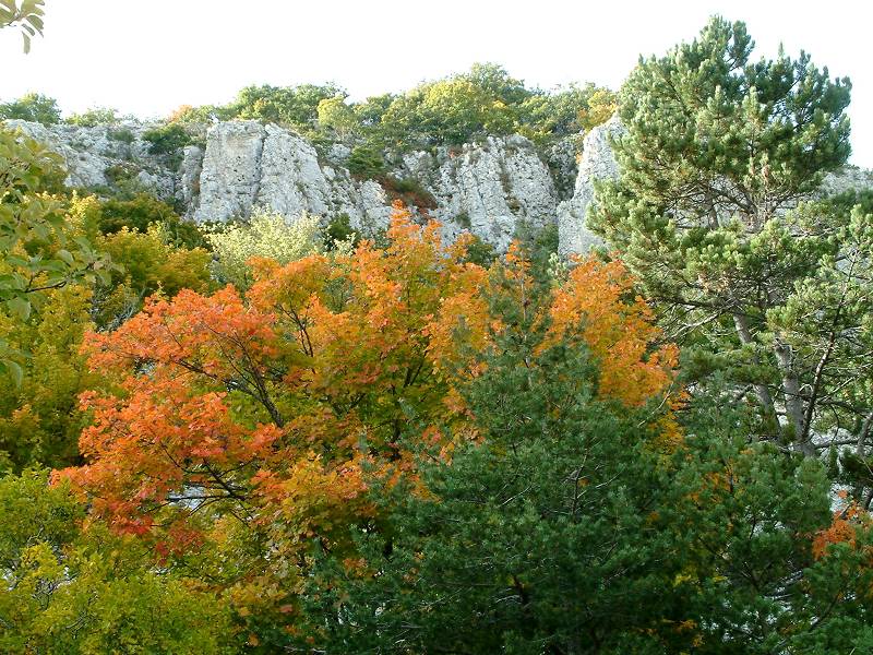 automne