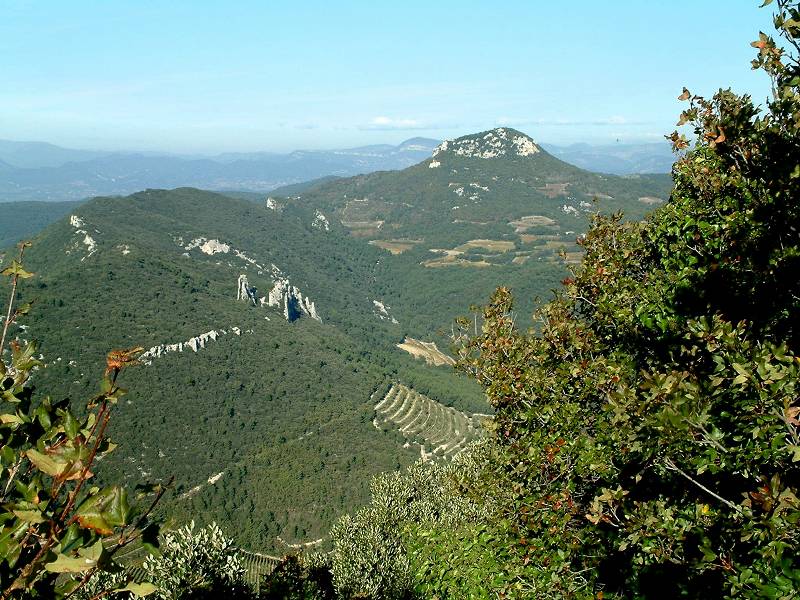 Mont de St Amand