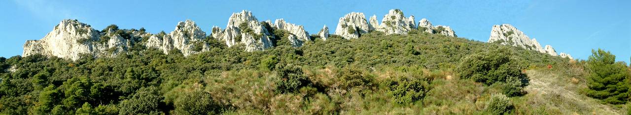 Dentelles Sarrasines