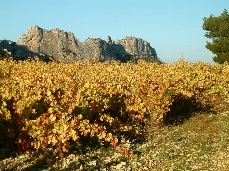 Dentelles