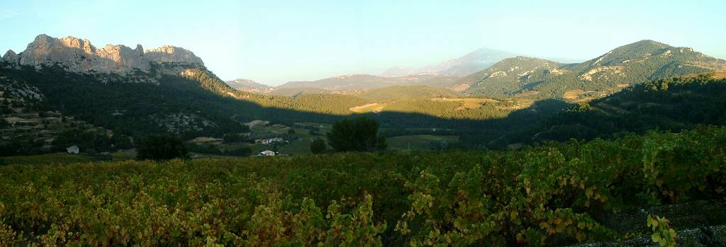 Dentelles