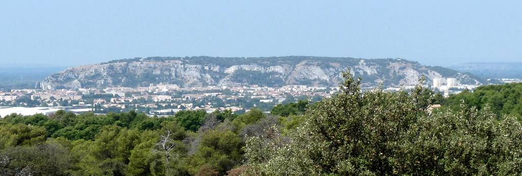 Cavaillon
