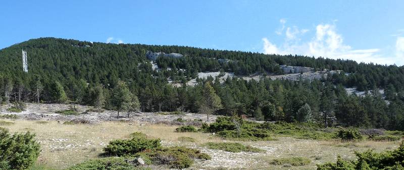 Chauva