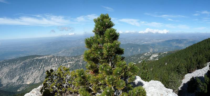 Nord Ventoux
