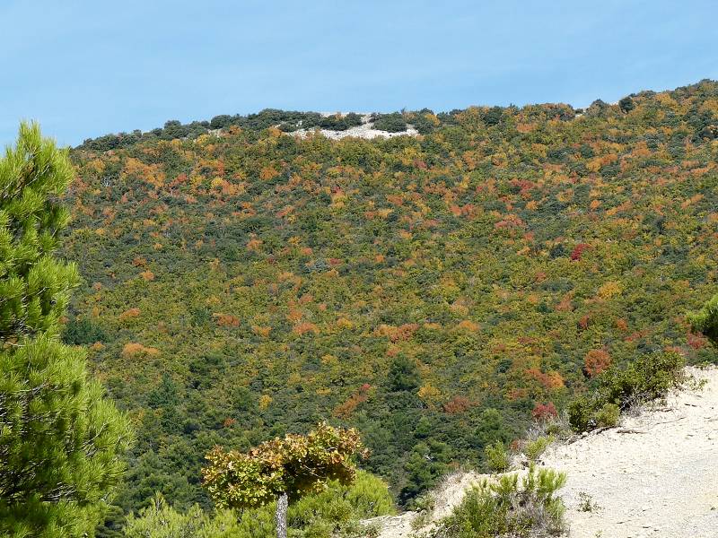 Automne