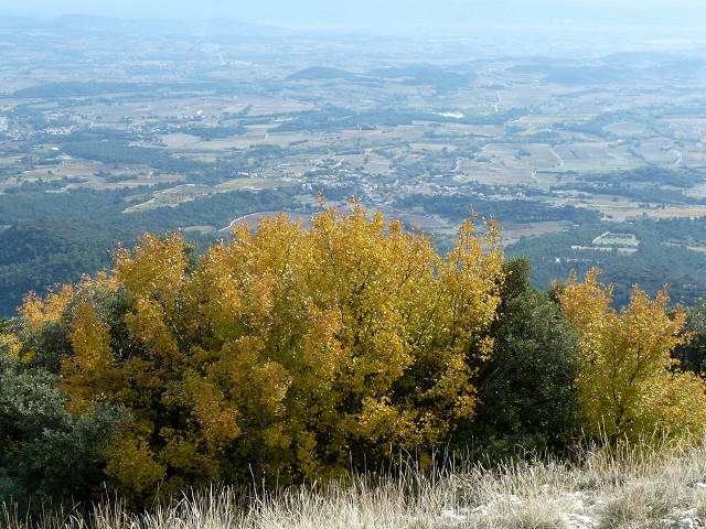 Automne
