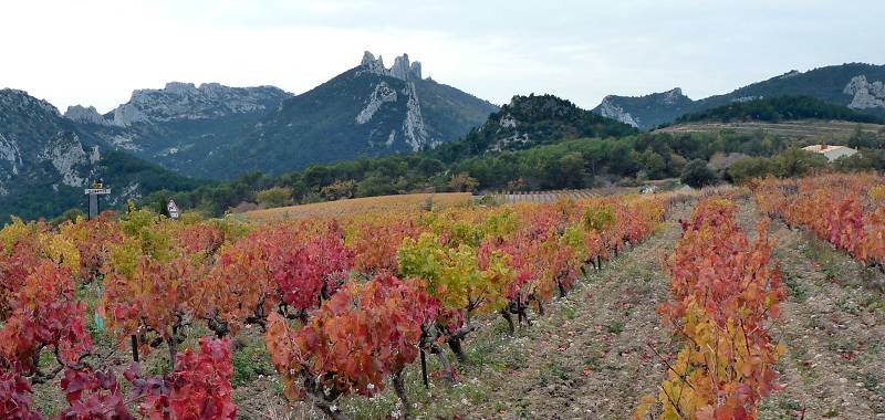 Dentelles
