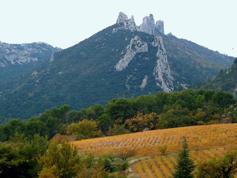 Dentelles