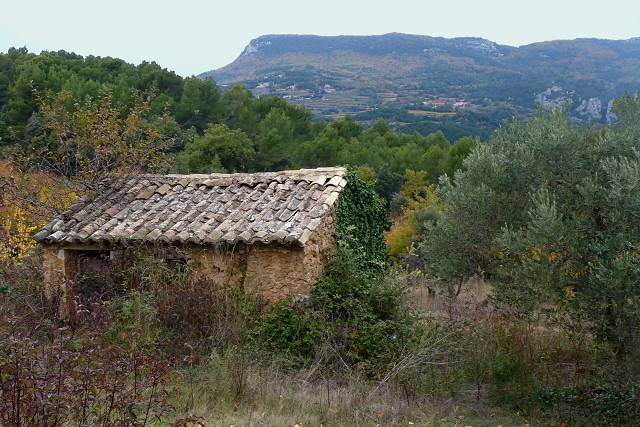 cabanon