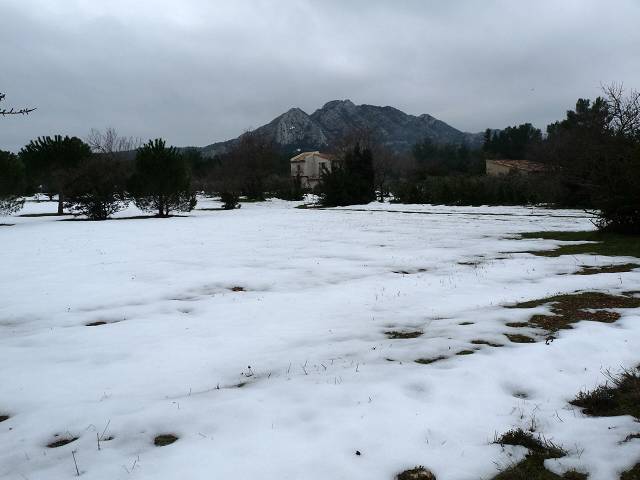 neige