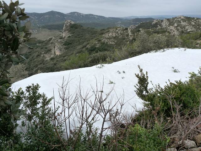 Neige
