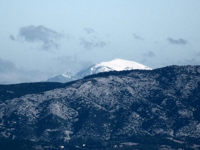 Le Cougoir