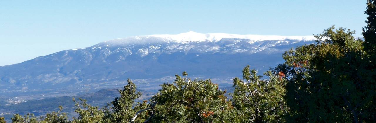 Ventoux