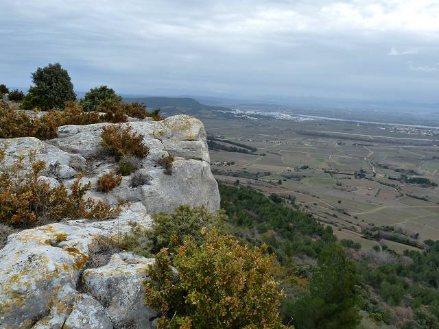 Falaise