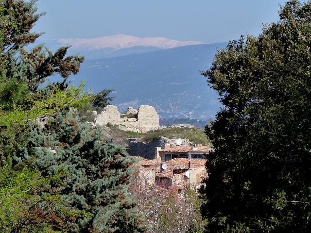 vue